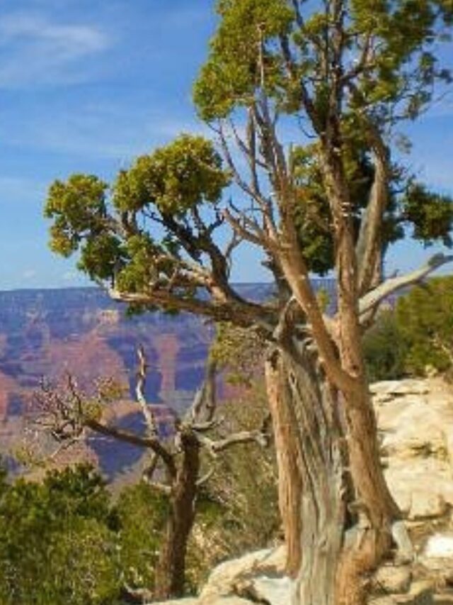 Top 9 Popular Places to visit grand canyon national park in USA
